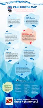 Scuba diving is wildly popular. Padi Courses Costa Rica Rocket Frog Divers Scuba Dive Costa Rica