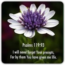 We did not find results for: Sign In Scripture Quotes Bible Psalms Blessed Quotes