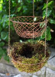 Kuvahaun tulos haulle hanging basket