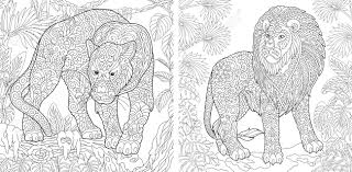 Many chameleons, and panther chameleons in particular, have the remarkable ability to exhibit complex and rapid colour changes during social interactions such as male contests or courtship. Coloring Pages Coloring Book For Adults Colouring Pictures Royalty Free Cliparts Vectors And Stock Illustration Image 110955676