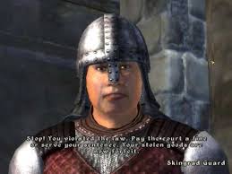Stop You Ve Violated The Law Youtube