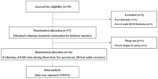 The human foot is a strong and complex mechanical structure containing 26 bones, 33 joints (20 of which are actively articulated), and more than a hundred muscles, tendons, and ligaments. Ijerph Free Full Text Comparison Of The Intrinsic Foot Muscle Activities Between Therapeutic And Three Dimensional Foot Ankle Exercises In Healthy Adults An Explanatory Study Html