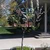 Why prune fruit trees at all? 1