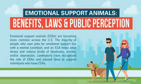 It is important to do your research when choosing. Emotional Support Animals Benefits Laws Perceptions Ohio University