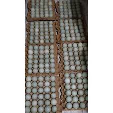 Check spelling or type a new query. Telur Ayam Kampung Telur Tembean Telur Ayam Tembean Telur Ayam Shopee Indonesia