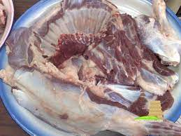 غير موظفه.25) هي حامل الان في الشهر الرابع ببنت والله اعلم. ØµØ±Ø§Ø­Ø© Ù…ÙˆØ§Ø¯ Ù„ÙŠ ØªÙ‚Ø·ÙŠØ¹ Ø§Ù„Ø°Ø¨ÙŠØ­Ø© Ø«Ù„Ø§Ø¬Ø© Libelinhadourada Com