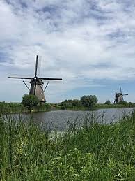 Synonyms for strong wind include gale, cyclone, hurricane, storm, tornado, squall, tempest, typhoon, whirlwind and blast. Kinderdijk Wikipedia