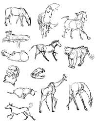 Animal Gesture Drawing Casey Hunt Gesture Drawing Tool Animals Gesture Drawing Life Drawing Animal Drawings