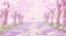 Pink leafed tree, anime, sakura (tree), road, built structure; Anime Sakura Tree Gifs Tenor