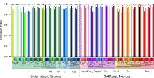 Christian mingle offers discounts on. Single Cell Transcriptomic Evidence For Dense Intracortical Neuropeptide Networks Elife