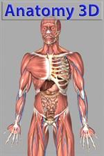 It's only about 3 millimeters long in an adult. Get 3d Bones And Organs Anatomy Microsoft Store