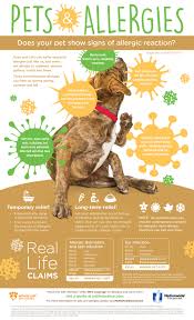 Choosing the right carpet can defend against your dog or cat's best shot at taking it down. Pets And Seasonal Allergies Pet Health Insurance Tips