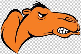 Campbell university is a private institution that was founded in 1887. Campbell University Campbell Fighting Camels Women S Basketball Campbell Fighting Camels Men S Basketball Campbell Fighting Camels Football