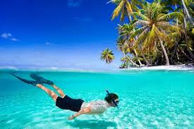 Pasir besar, lang tengah, pulau lang tengah, malezja pokaż na mapie (566 m od centrum). 2021 10 Best Lang Tengah Island Tour Packages Holidaygogogo