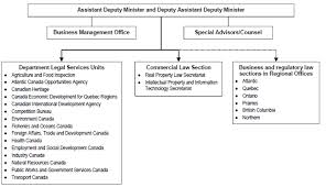 Profile Of The Business And Regulatory Law Portfolio