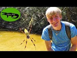 They are brown with darker markings that help to camouflage them. Giant Freaky Banana Spider Youtube