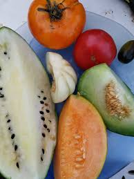 Show ro monster and their location, spawn time, 100% hit, 95% flee, attack speed, walk speed, range, item drop, stats, properties, size, race, mode and other information. Watermelon Melon Growing 2019 General Fruit Growing Growing Fruit