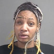 Name: BLAND SARAH MAE 03/17/1992 F W Booking Date: 07/09/2024 Charges:  POSSESSION OF PARAPHERNALIA/ TRESPASS PROP. OTHER THAN STRUCTURE/CONVEYANCE  Bond: $1000.00