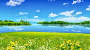 1920x1080 best hd wallpapers of nature, full hd, hdtv, fhd, 1080p desktop backgrounds for pc & mac, laptop, tablet, mobile phone. Full Hd Wallpaper Download Hd Wallpapers Backgrounds Of Your Choice Nature Desktop Nature Desktop Wallpaper Beautiful Nature Wallpaper