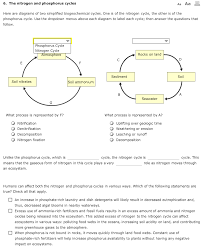 Biogeochemical cycles water cycle carbon cycle nitrogen cycle phosphorous cycle. Solved 6 The Nitrogen And Phosphorus Cycles Aa Aa Here A Chegg Com