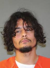 Alleged vehicle vandals arrested