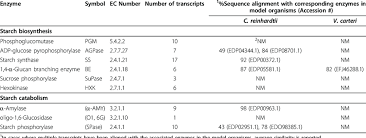 Now he lives a life of garbage, mocking and. Enzymes Involved In Starch Biosynthesis And Metabolism Identified By Download Table