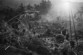 Nu pentru că a fost singurul război pierdut vreodată de americani, ci pentru că a fost un război purtat fără sens pentru prea mult timp, cu prea multe victime. Imagini Rare Ce Arata Realul Dramatism Al Razboiului Din Vietnam Galerie Foto Mobile