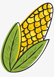 Chapeu png, milho png, pipoca png, viola png bandeirinhas png. Desenho Chapeu Festa Junina Transparent Png 820x1088 Free Download On Nicepng