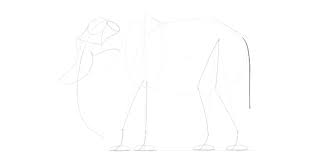 Sketsa gambar binatang gajah terbaru gambar mewarnai. Cara Menggambar Gajah Langkah Demi Langkah