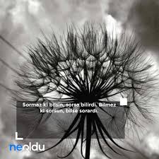 Gönül gönlü bulsaydı bozkırlar gül olurdu. mezara çekmekse beni maksadın, önümde o siyah gözlerin yansın. necip fazıl kısakürek'in cahillikle ilgili sözleri. Cahillikle Ilgili Sozler Cehalet Ve Cahil Insanla Ilgili Anlamli Sozler