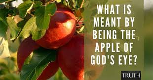 They are two completely different usages of 'keep my commandments, and live; What Is Meant By Being The Apple Of God S Eye