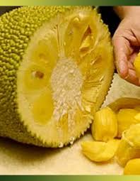 Decouvrez Ces Fruits Et Legumes Meconnus Je Cuisine Mon Potager Fruits Et Legumes Fruits Gout Sucre