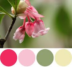 Color Palette Inspiration Chinese New Year Flower Color Palette From Image Color Palette Chinese New Year Flower