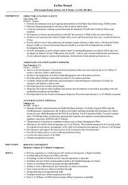 aviation safety resume samples velvet