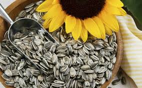SEMILLA GIRASOL CON CASCARA