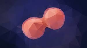 We did not find results for: What Is Mitosis Facts Yourgenome Org