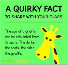 The free, funny fact files and cool fact sheets on animals provide interesting, amazing information, together with pictures, photos and fun facts on dogs and puppies for kids learn interesting trivia and cool facts about dogs and puppies especially for children. 110 Animal Facts Ideas Animal Facts Facts Fun Facts For Kids