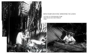Done in pencil and ink. Batu Belah Batu Bertangkup The Devouring Rock 1959 Singapore Film Locations Archive