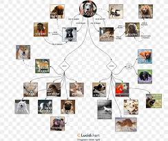 Not only is lucidchart easier to use—it's more affordable. Lucidchart Diagram Printing Png 800x694px Lucidchart Brand Chart Cost Diagram Download Free