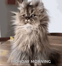 17 endless gifs for your viewing pleasure. Monday Morning Gifs Tenor