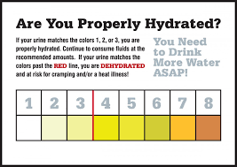 Safety Labels Are You Properly Hydrated