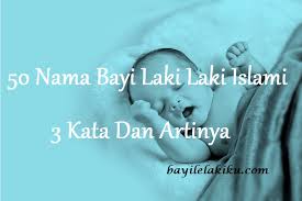 Nama amru diturunkan dari kata amr, yang artinya kehidupan yang atau berumur. 50 Nama Bayi Laki Laki Islami 3 Kata Dan Artinya Bayilelakiku Com Nama Bayi Laki Laki Dan Artinya Islami Kristen Modern