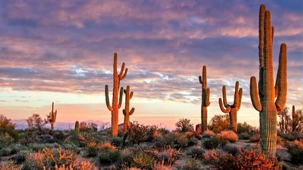 15 Natural Features that Define Arizona | Visit Arizona