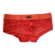 Jack Smith Men S See Through Briefs Shorts Underwear L Color 3 Buy Online In Brunei At Brunei Desertcart Com Productid 19724895