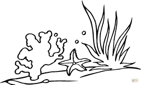 1430x1529 best coloring pages of coral reefs ocean plant. Corals Coloring Page Coloring Home