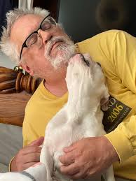 Dog lost battle with ibs