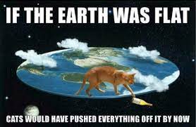 Scientific Reasoning It Has To Be Round Funny Cat Memes Funniest Cat Memes Funny Animal Pictures