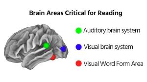 How do you save time and answer more questions right? Is Flipping B And D A Sign Of Dyslexia Helping Children To Read