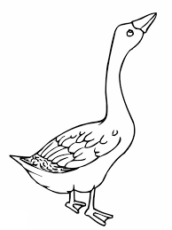 Angry Goose Coloring Page Coloring Pages Color Glass Animals