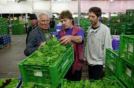 Dr boris erasmus palmer (* 28. Tubinger Oberburgermeister Boris Palmer Der Remstalrebell Schimmert Durch Baden Wurttemberg Stuttgarter Zeitung